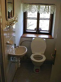 Dum U Zlateho Stromu / Golden Tree Apartament